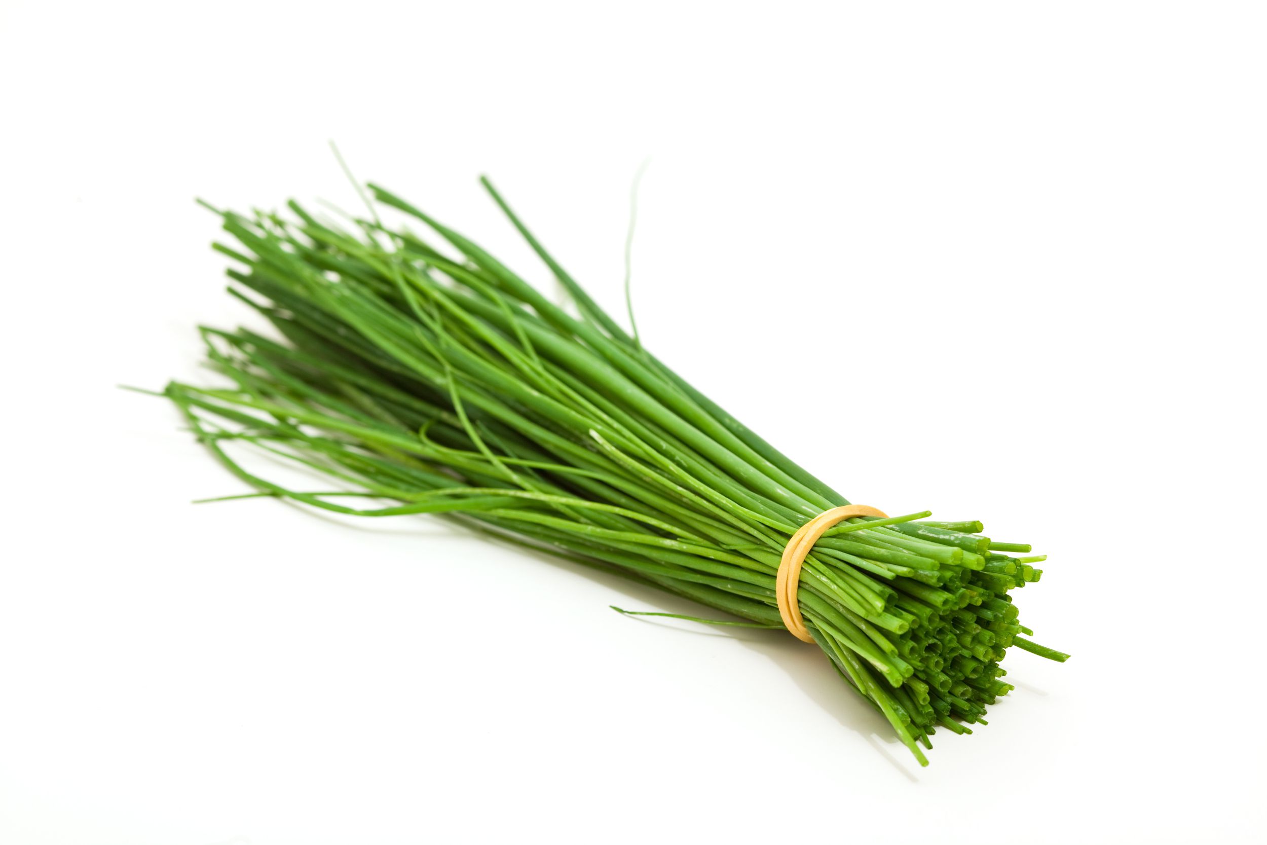 Scallions - Fresh Grown Farms LLC